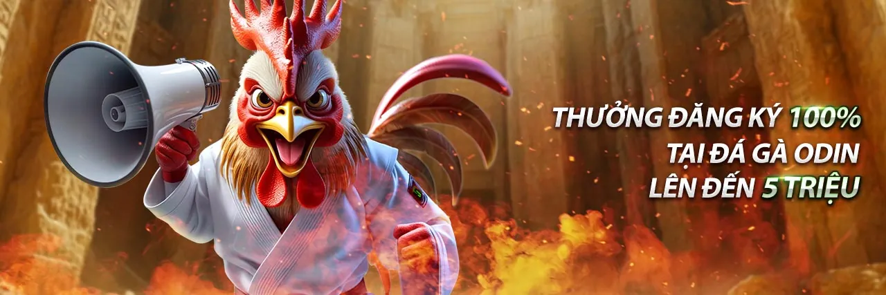 Hướng dẫn cá cược trực tuyến TR88 VIP